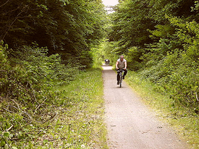 Regental Radweg